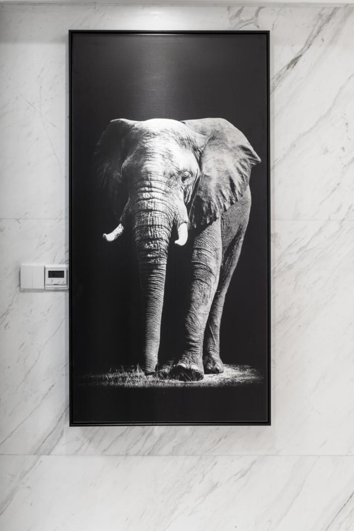 玄關(guān)裝飾畫(huà) 玄關(guān)裝飾畫(huà)