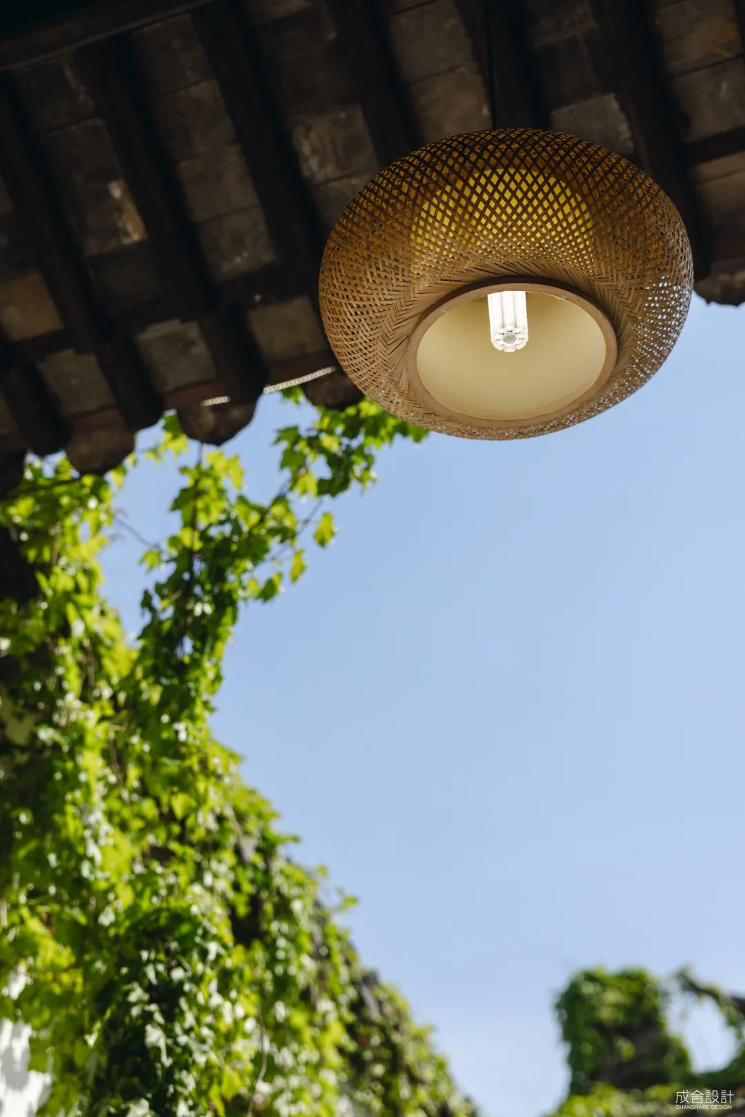 8861745801515174.jpg 13.jpg